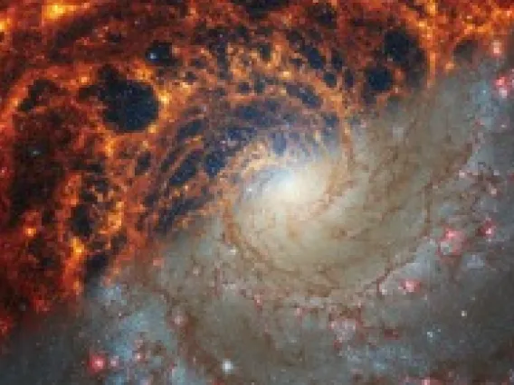 A spiral-shaped galaxy in space