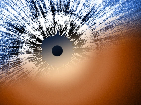 composite image of the dust disk surrounding Vega, consisting of the Hubble image and the James Webb image